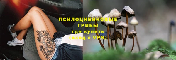 мяу мяу мука Горно-Алтайск