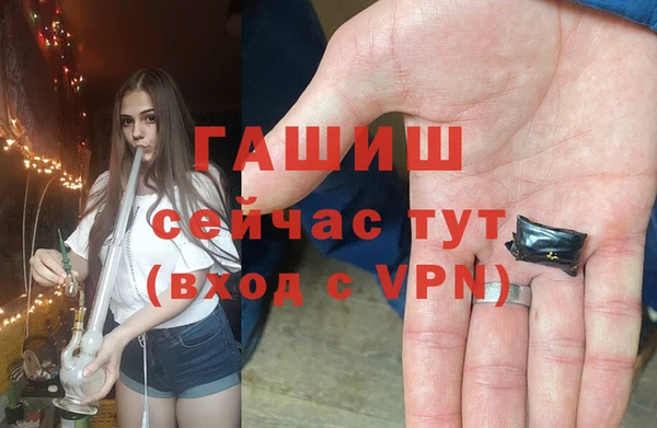 мяу мяу мука Горно-Алтайск