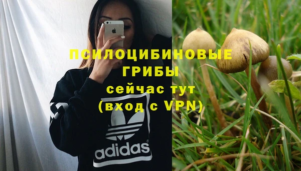 мяу мяу мука Горно-Алтайск