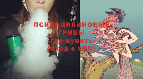 соль ск Горнозаводск