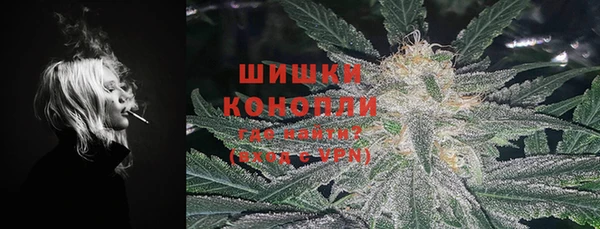 мяу мяу мука Горно-Алтайск