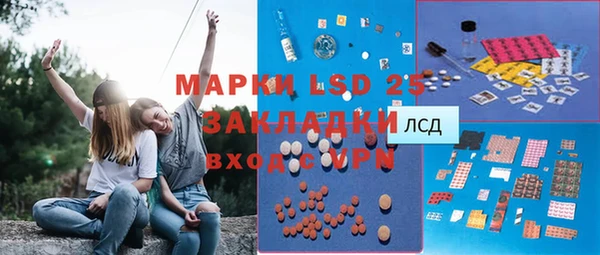 соль ск Горнозаводск