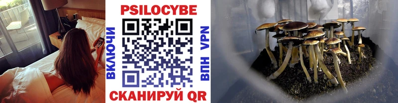 Псилоцибиновые грибы Cubensis  магазин  наркотиков  Добрянка 